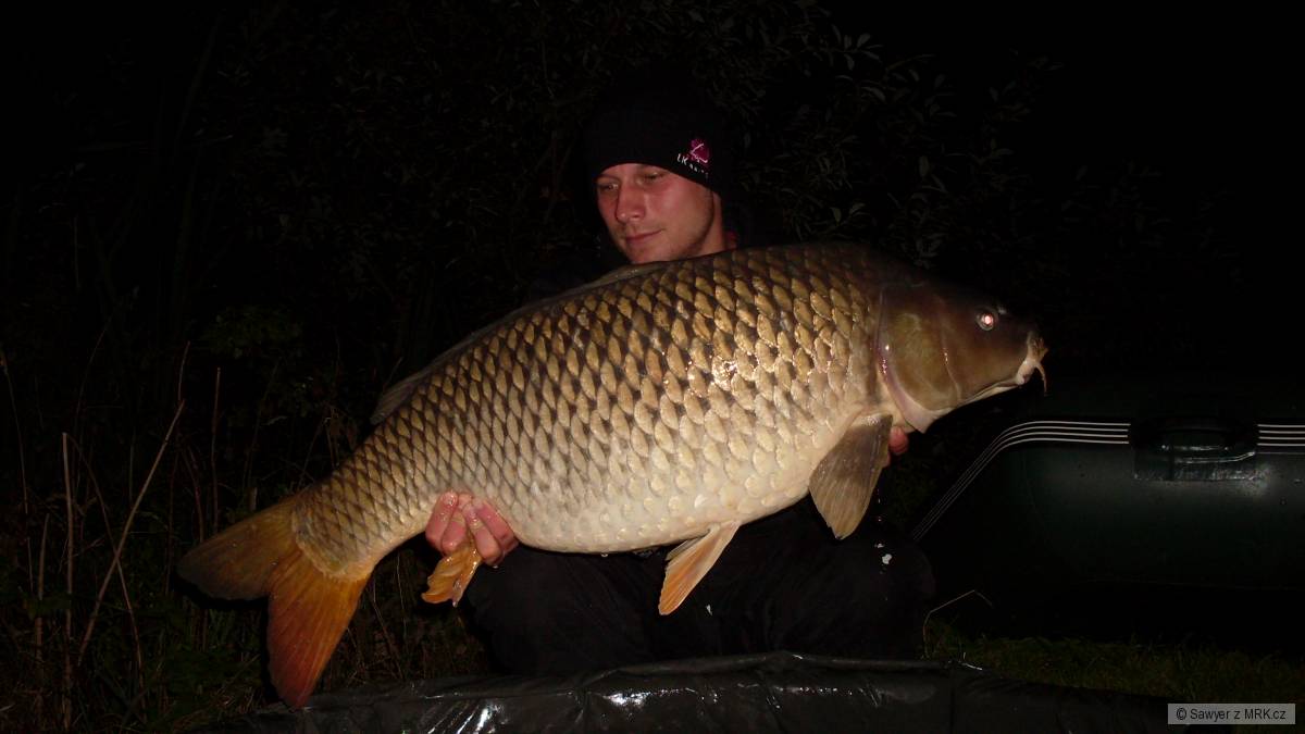 16 kg