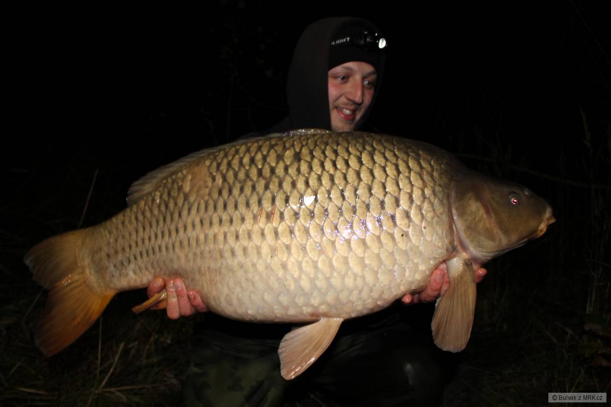 17,50kg