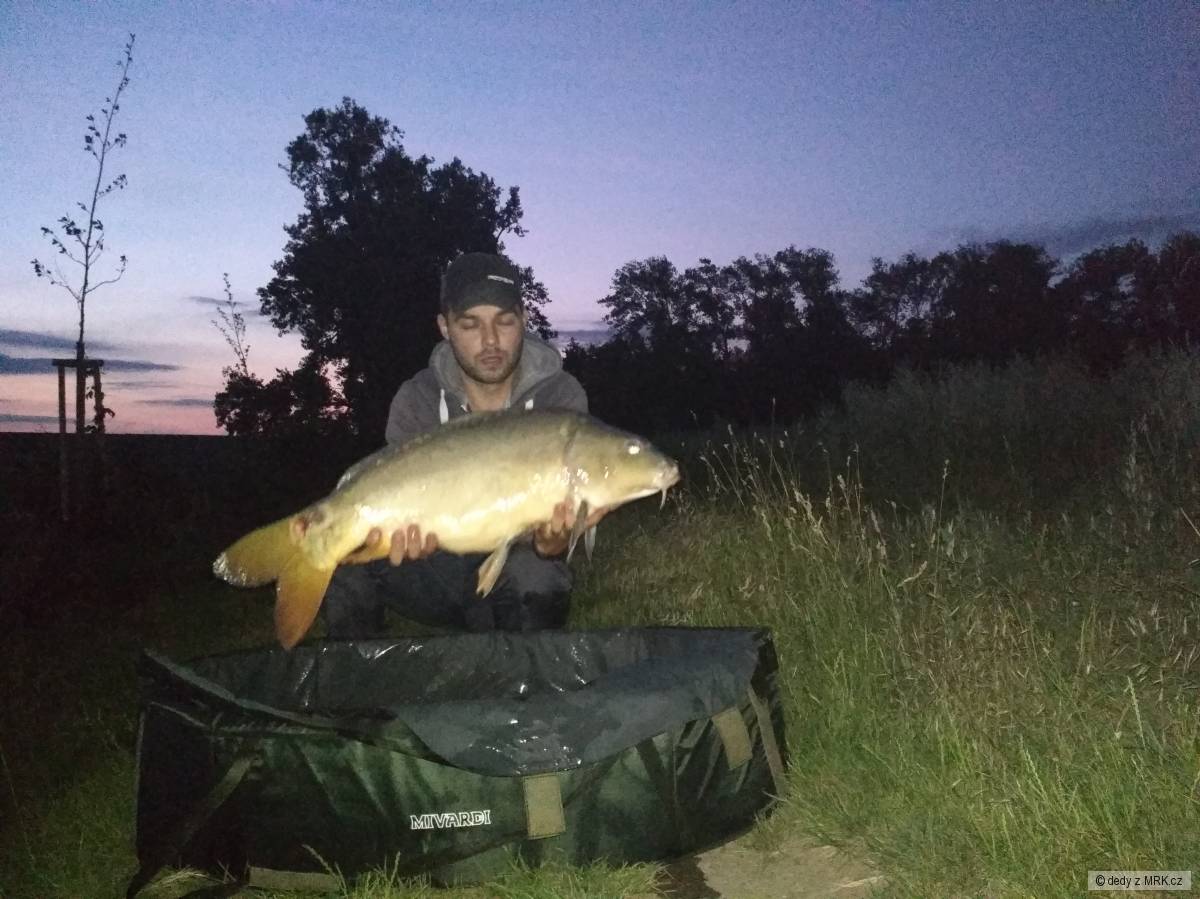 82cm