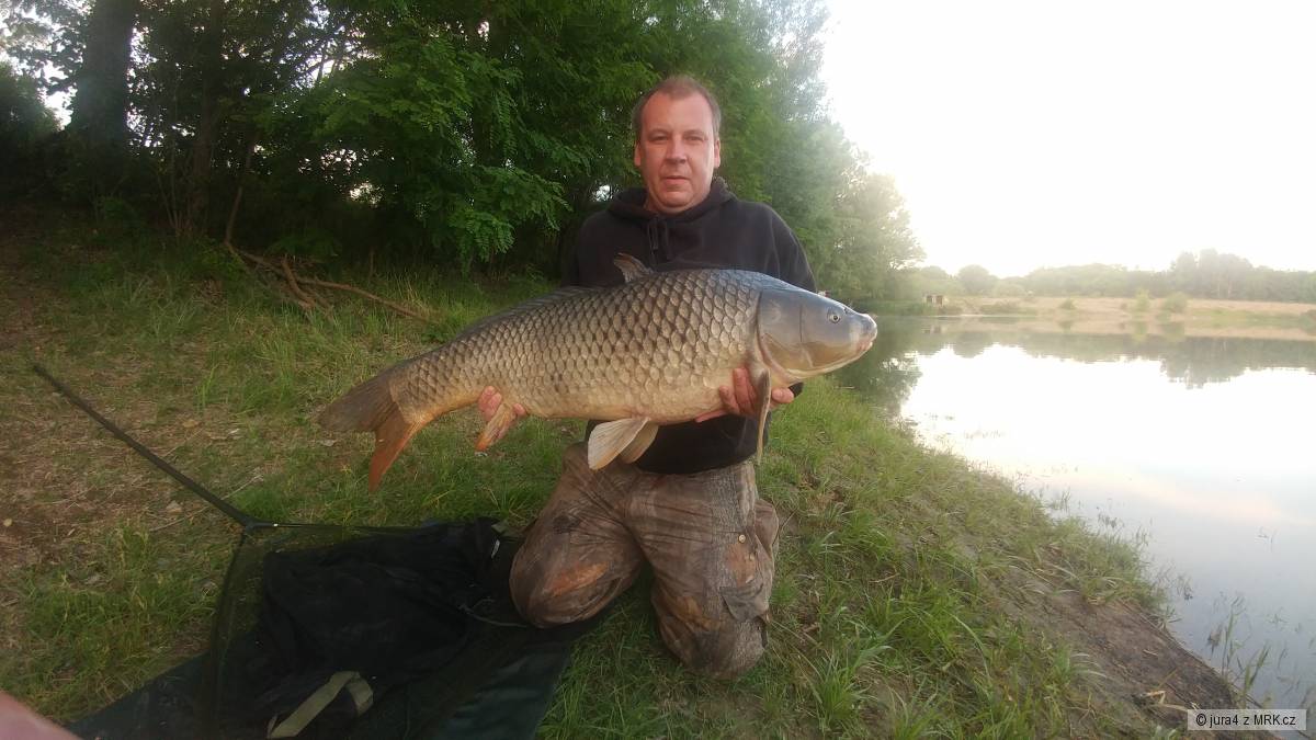 Kapr 17,80kg