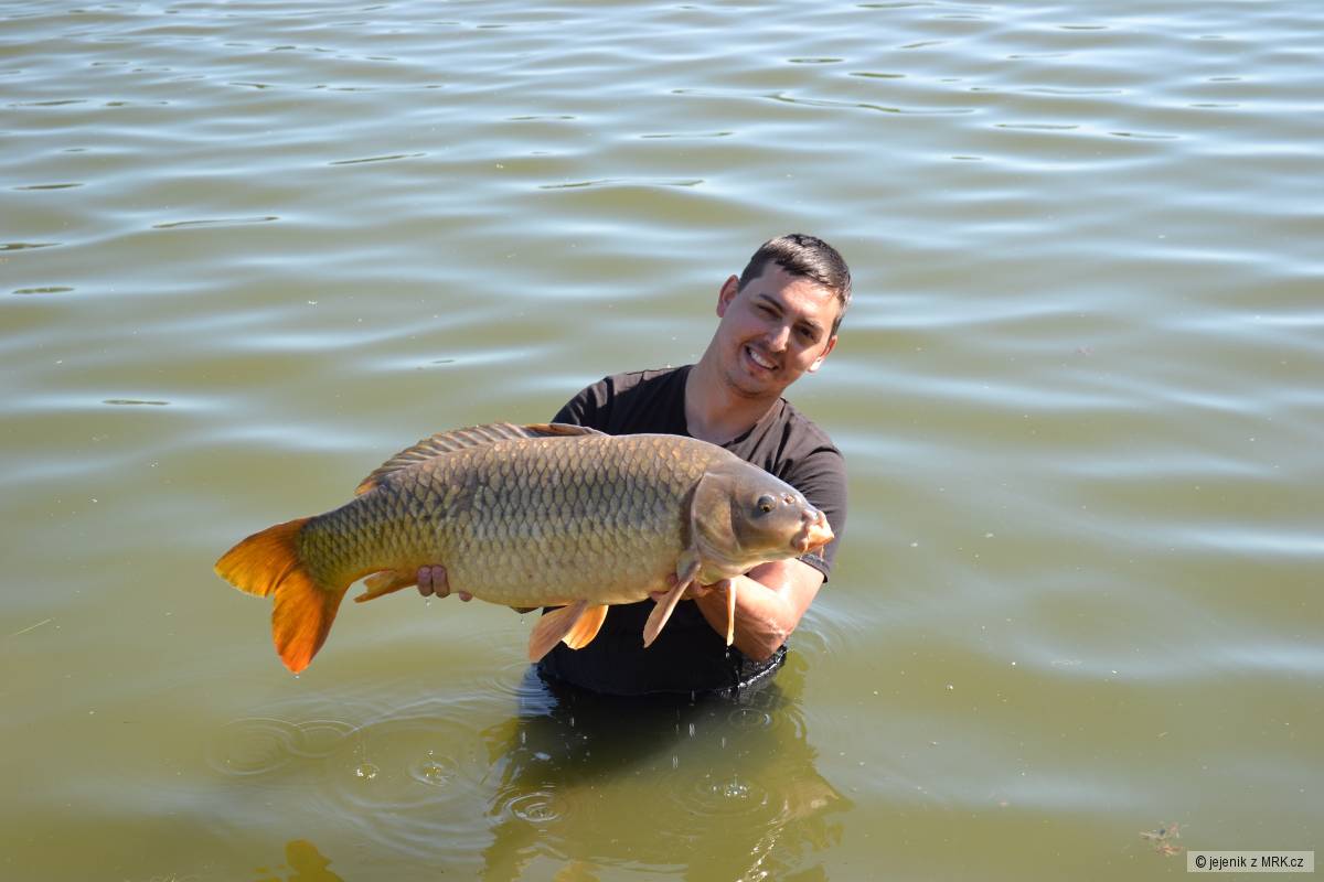 8,5 kg