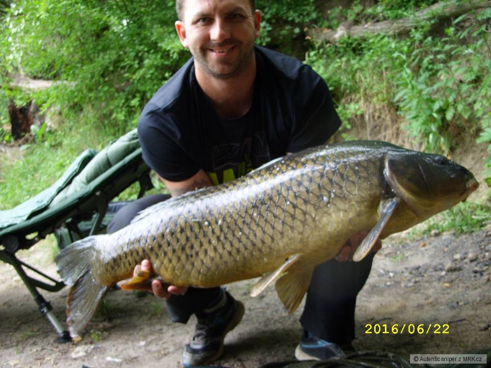 Krasavec 12 kg,93 cm