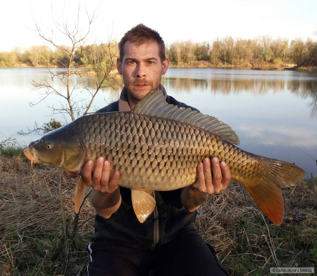rybarina