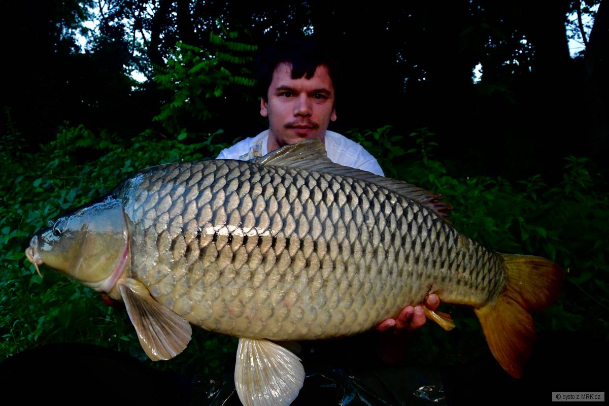 82cm / 12kil, na rieke na Liver Medovú Vily