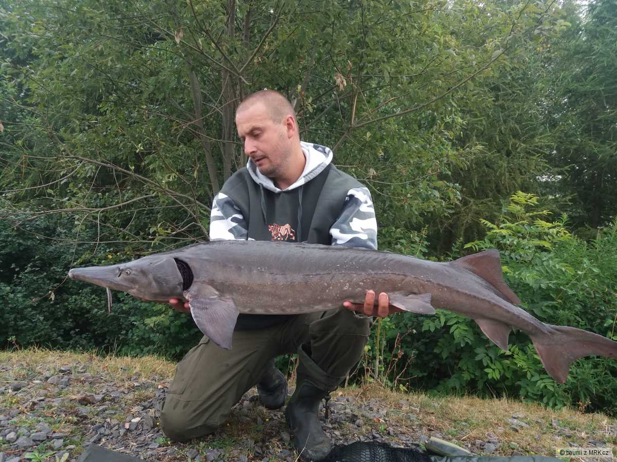 Jeseteří víkend