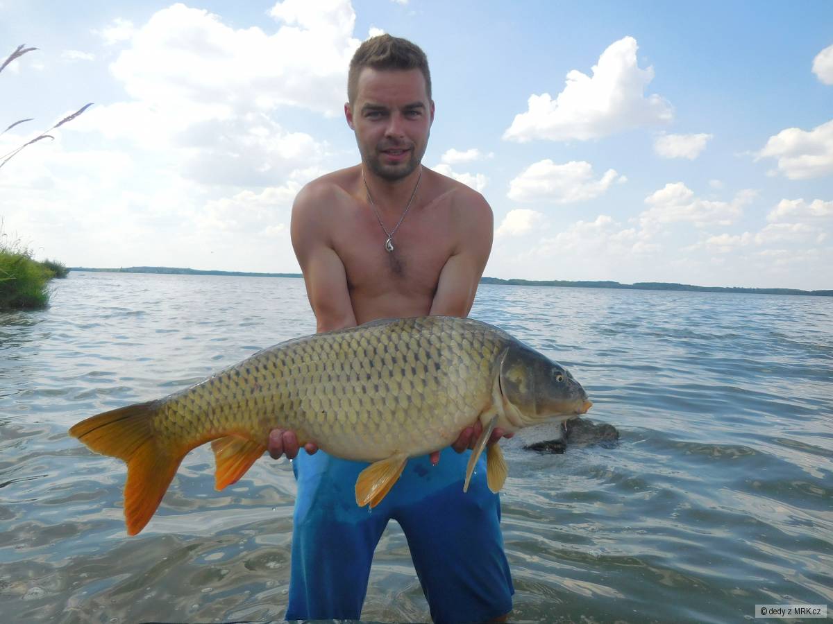 83 cm 9kg