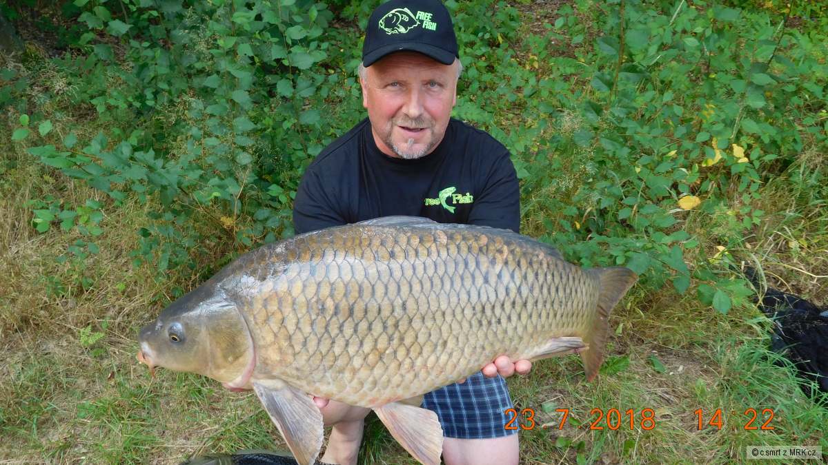 2018-11kg