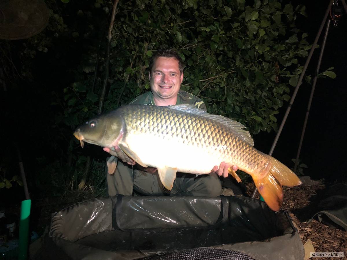 Kapr 14,10 kg