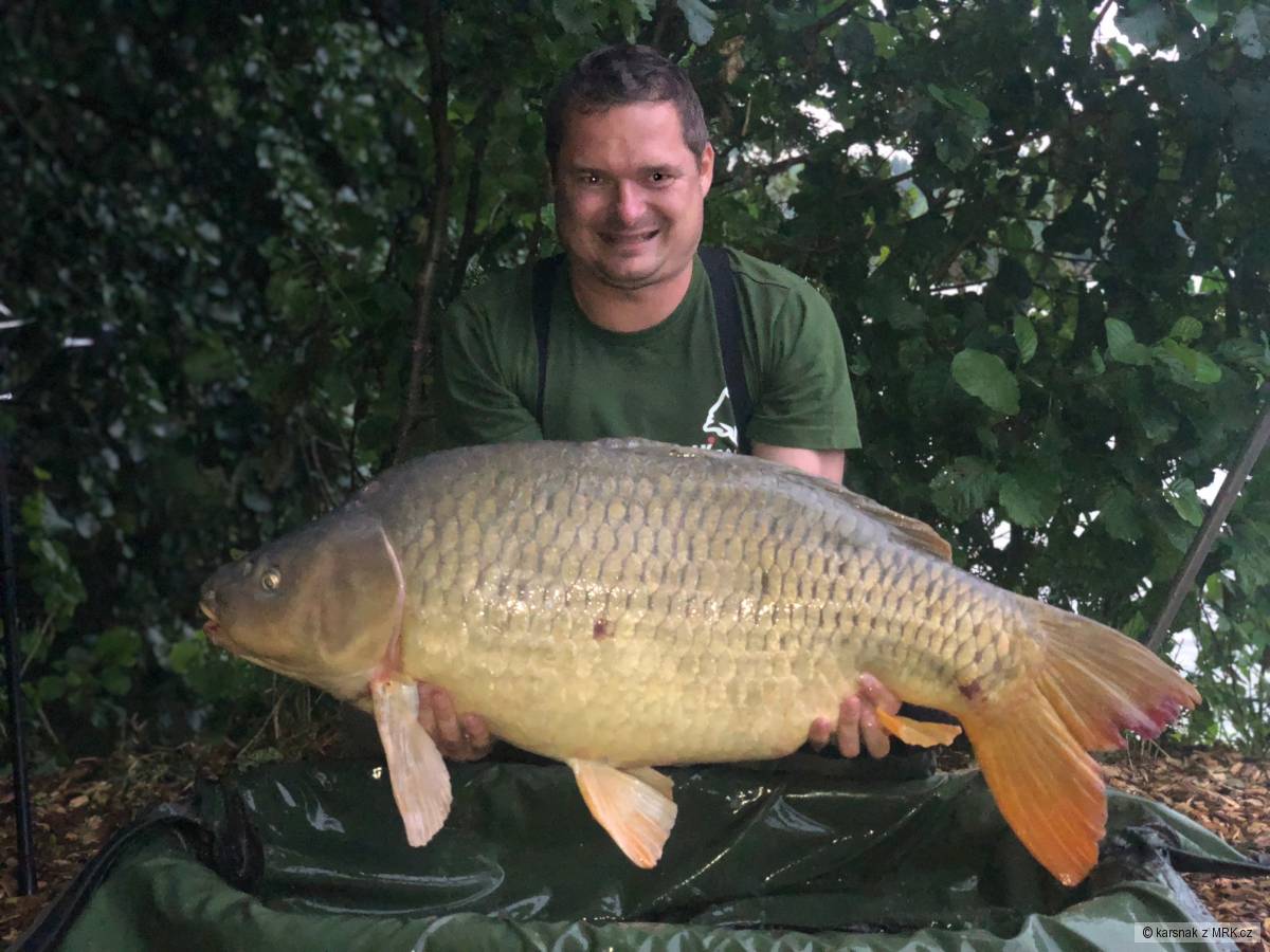 Kapr 19,80 kg