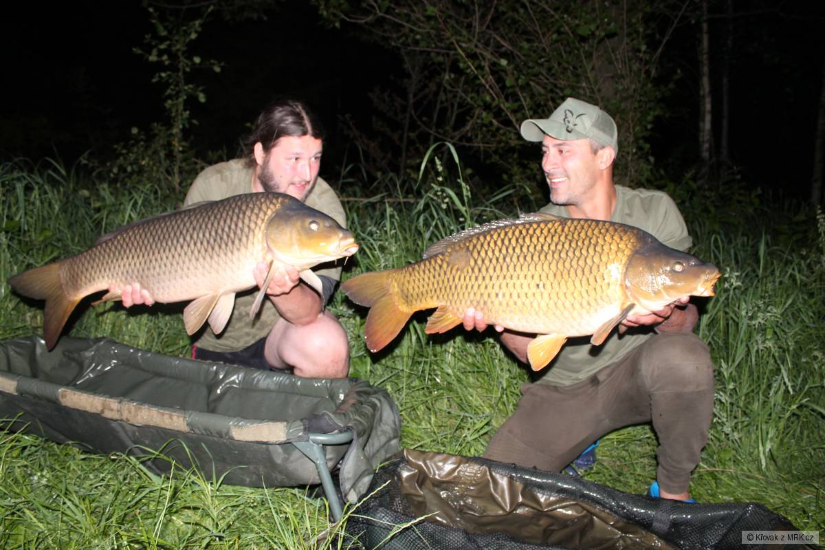 Double 12 a 12.5kg