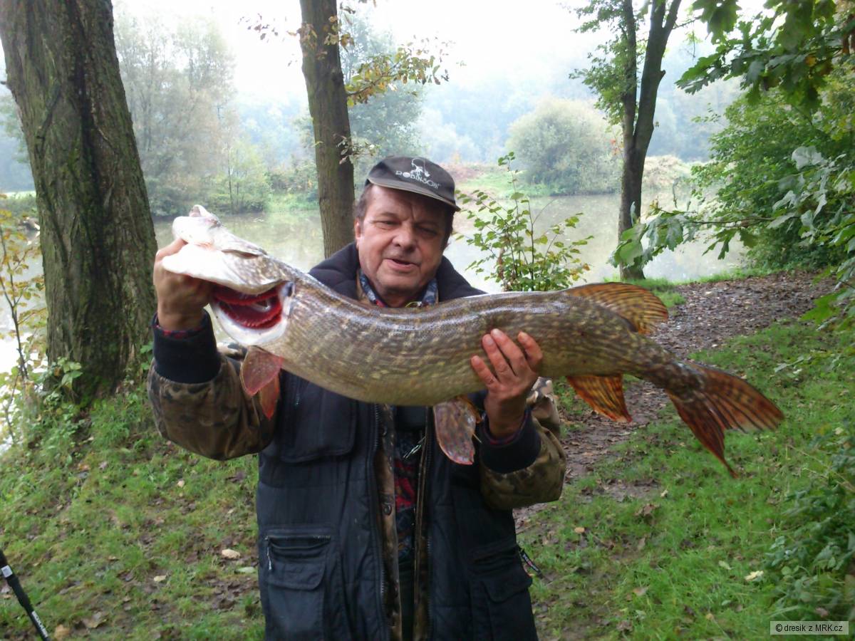 Štika 105 cm