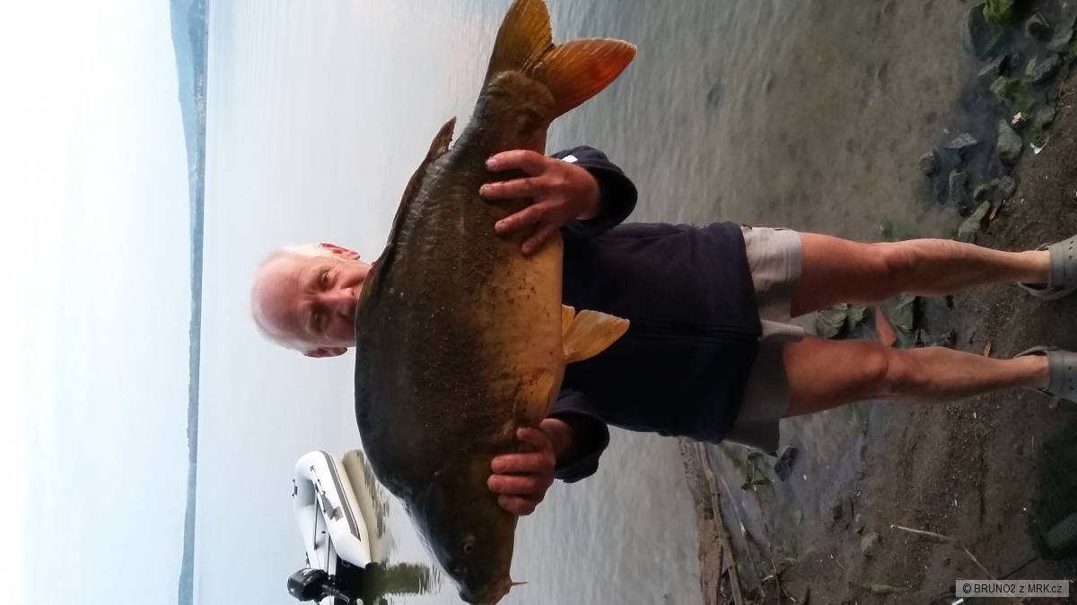 dalši šupinač 11kg