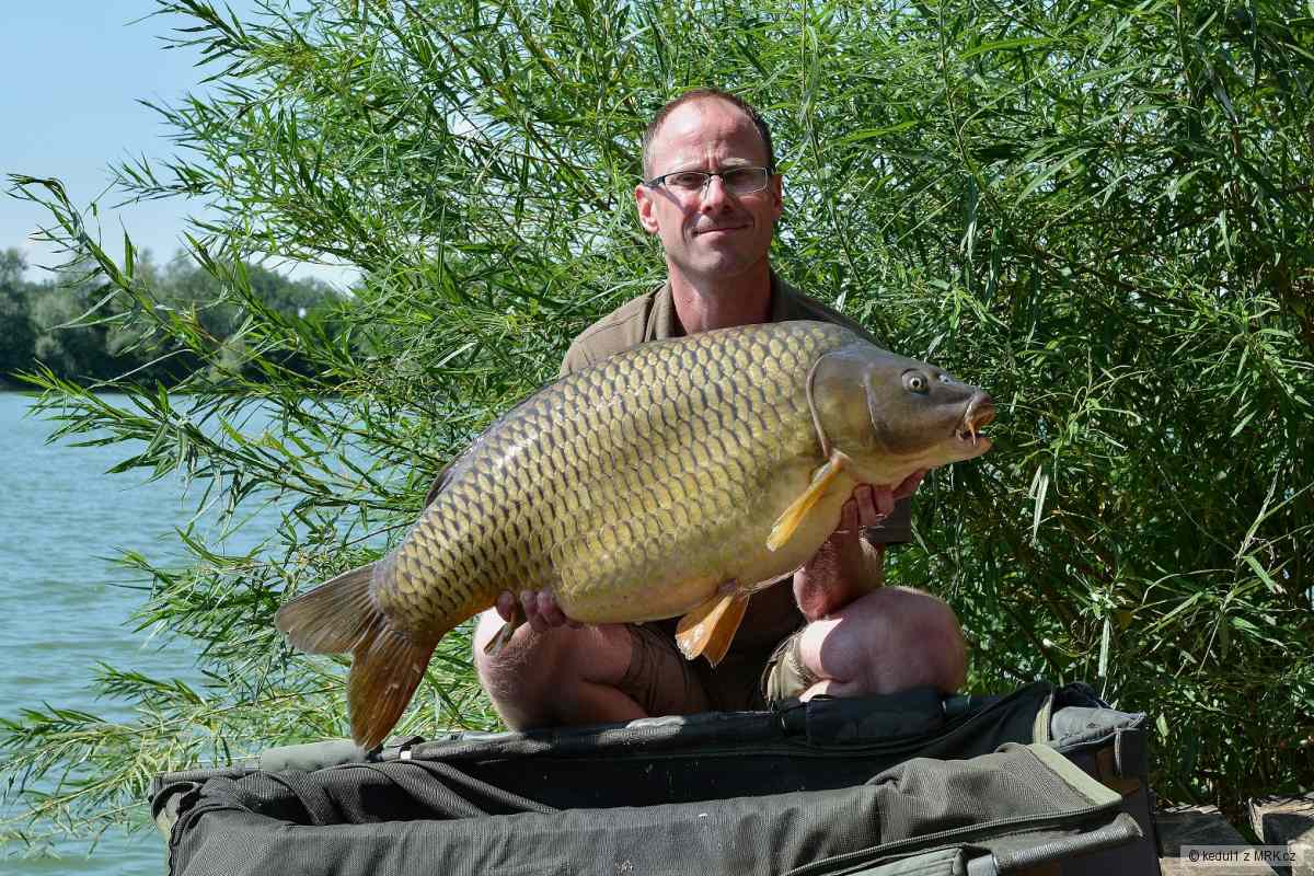 17kg