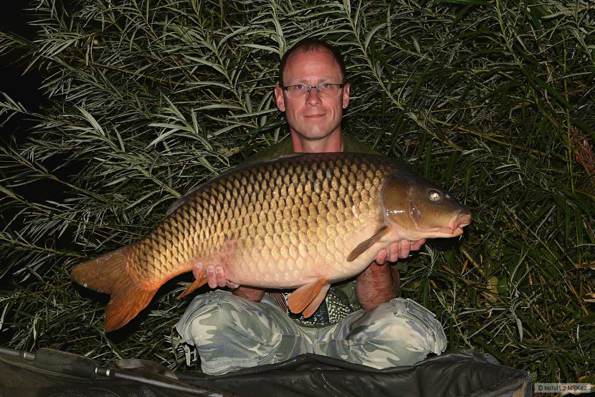 17kg
