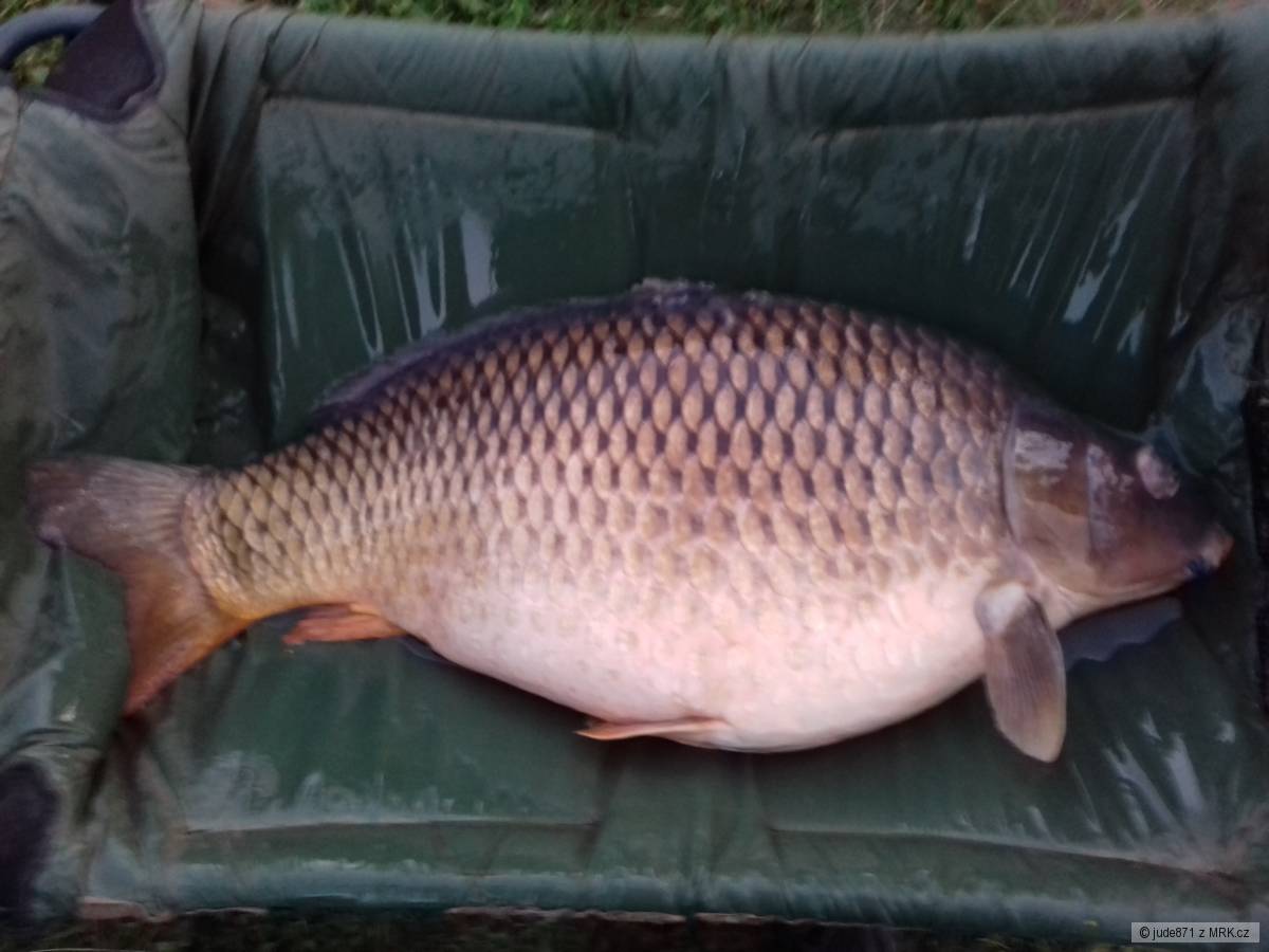 Osobacek 24kg