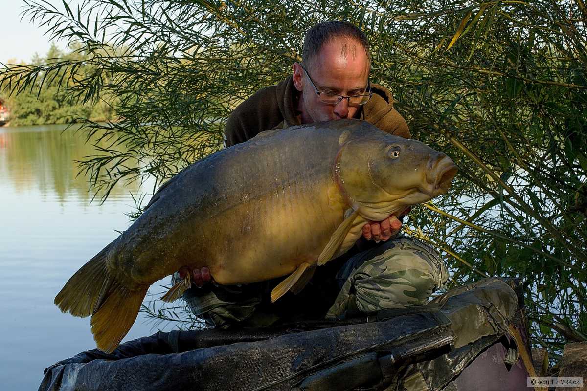26kg