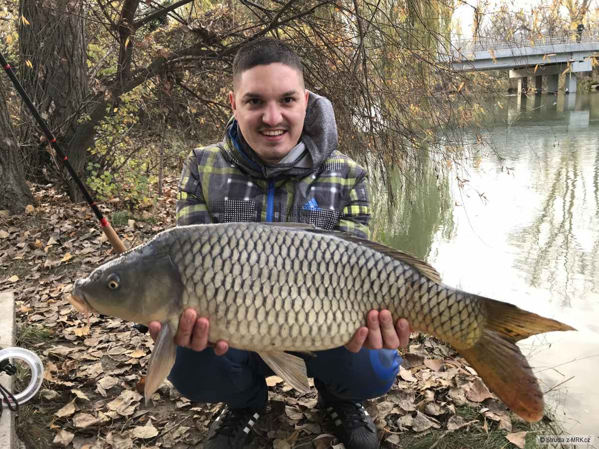 18.11.2018