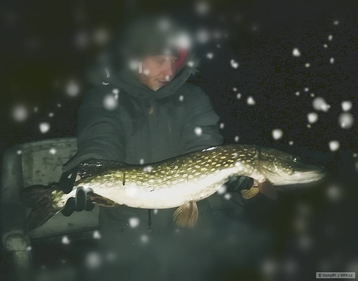 Štika