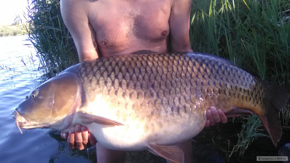 jezero v Čechách