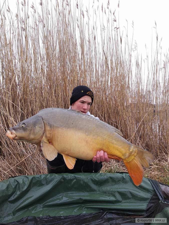 Kapr 11,5 kg březen 2019