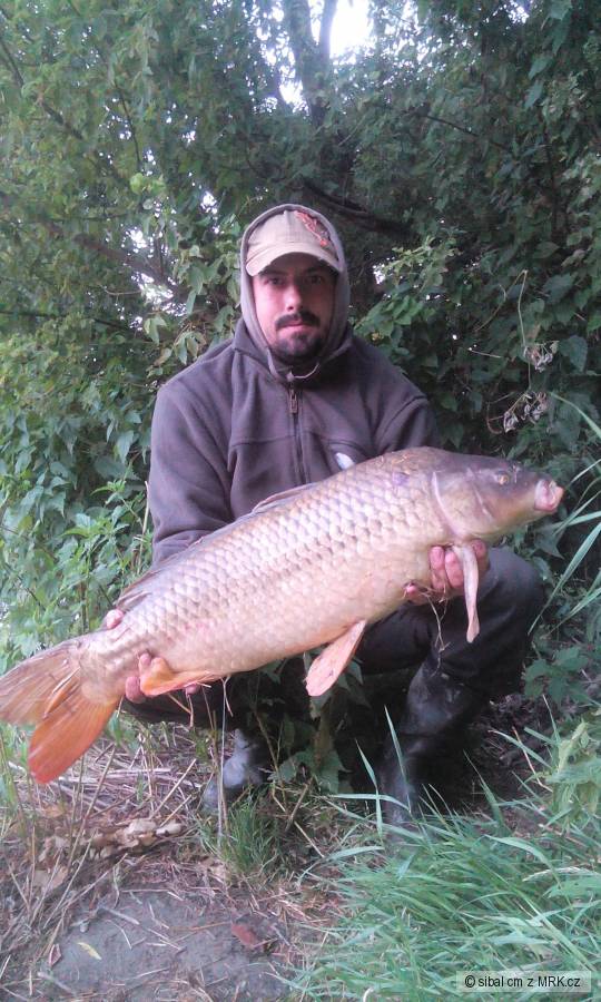 Moj osobak 13,4 kg