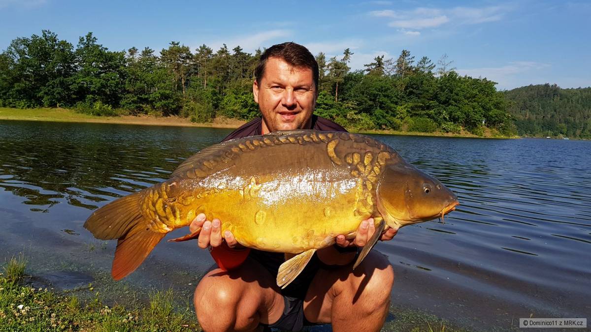 Můj první kapr Orlík 2018