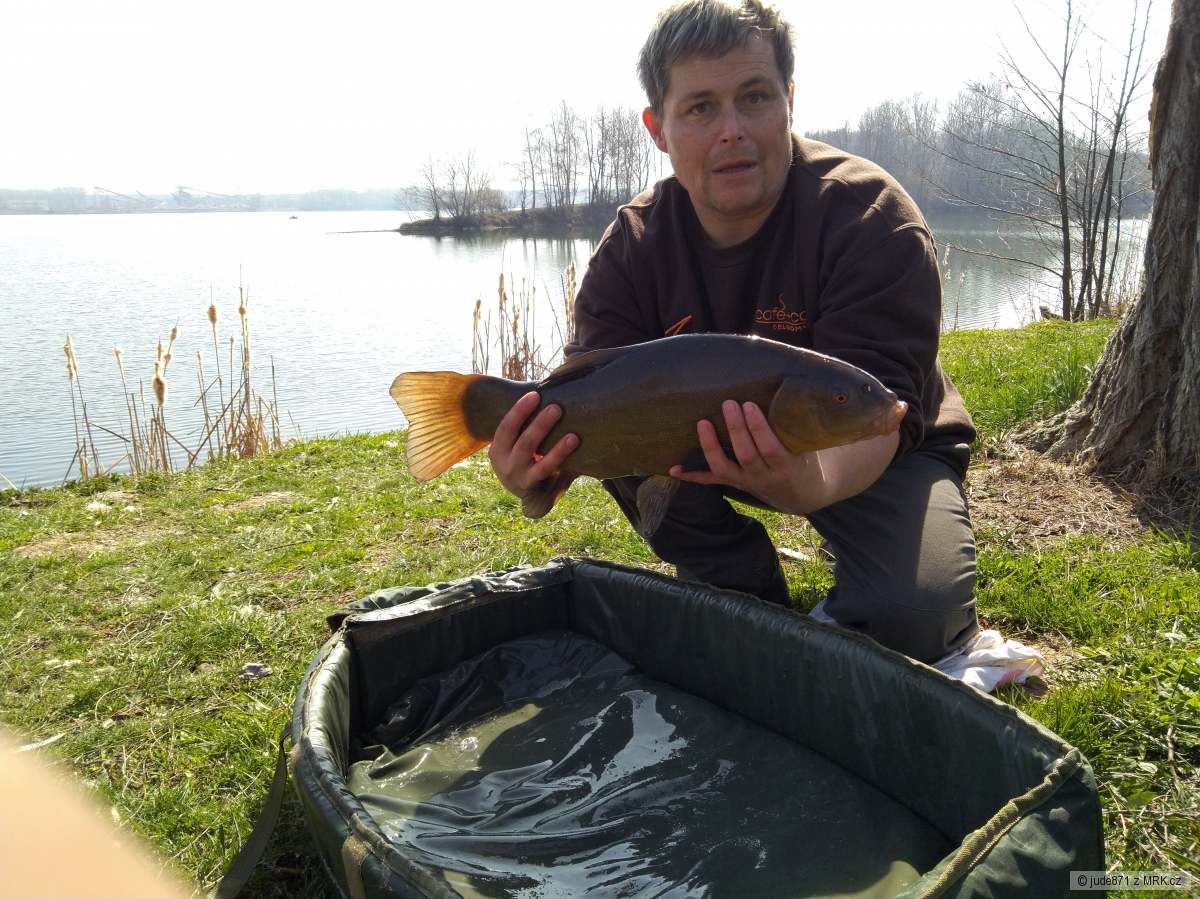 Lin 60cm