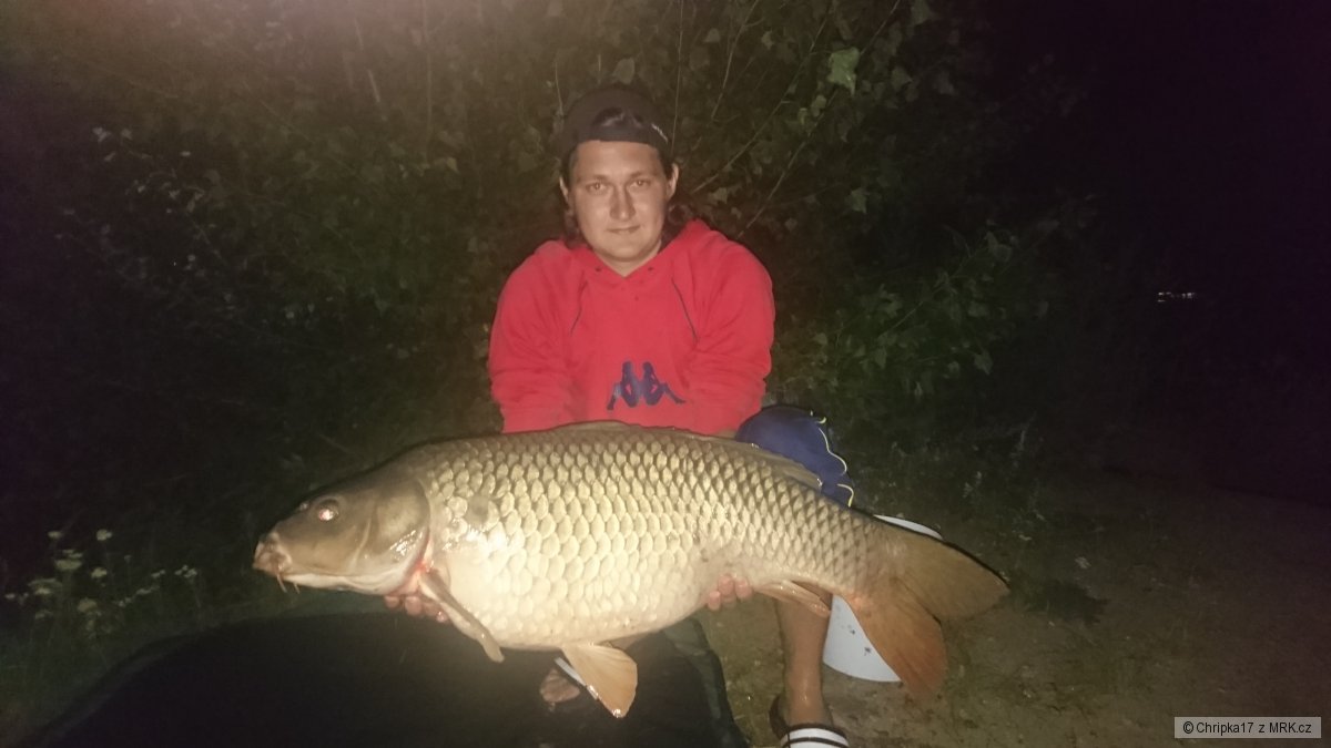 Kapr, 96cm