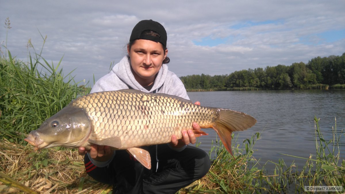Kapr, 84cm, Dyje 6