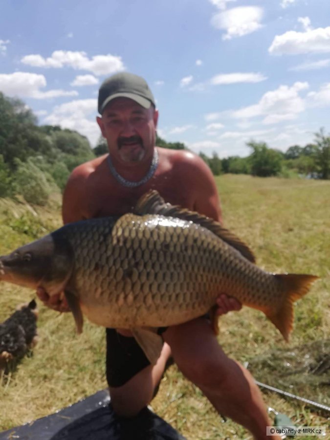 Životní ryba