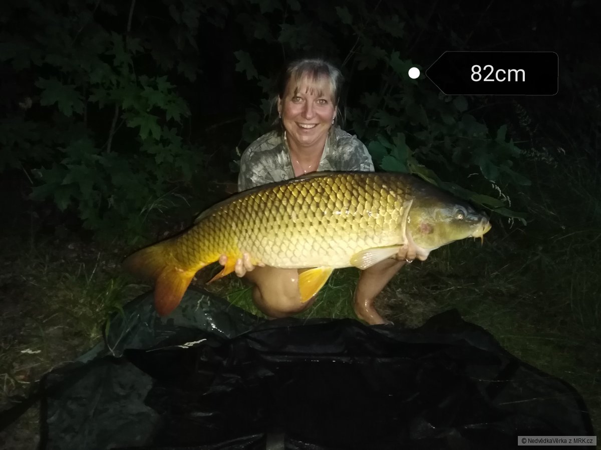 Kapr Zámecký rybník červenec 2019