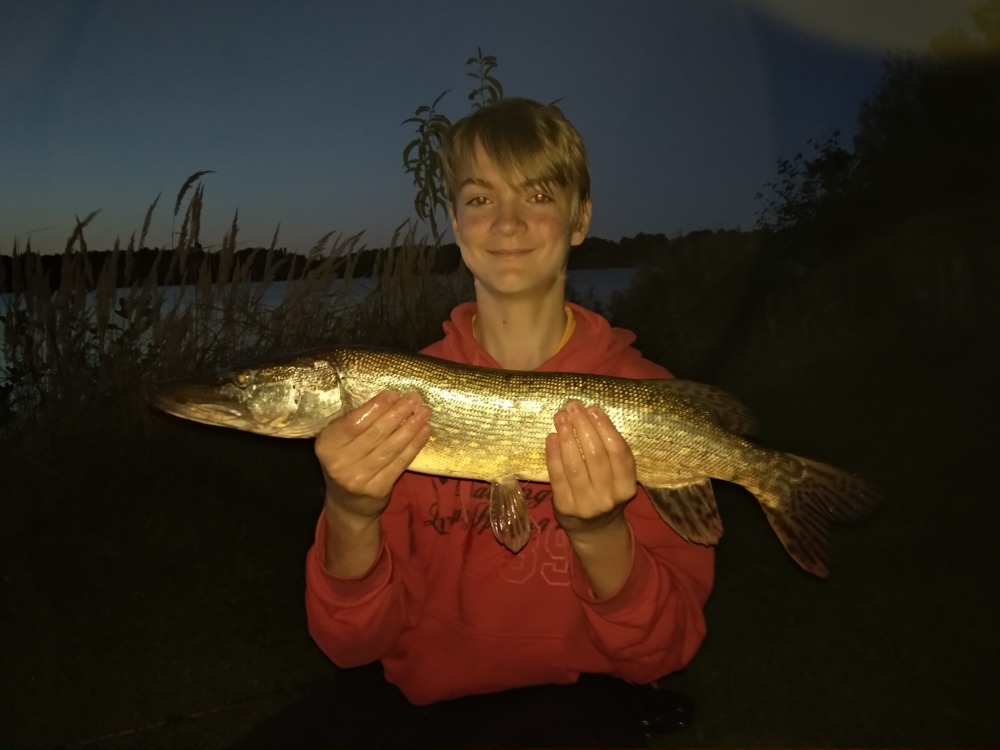 štika 65CM