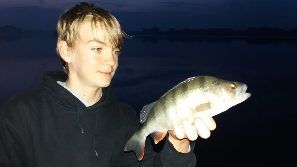 okoun kolem třicítky