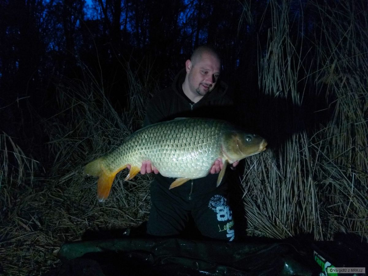 Kapr 12 kg