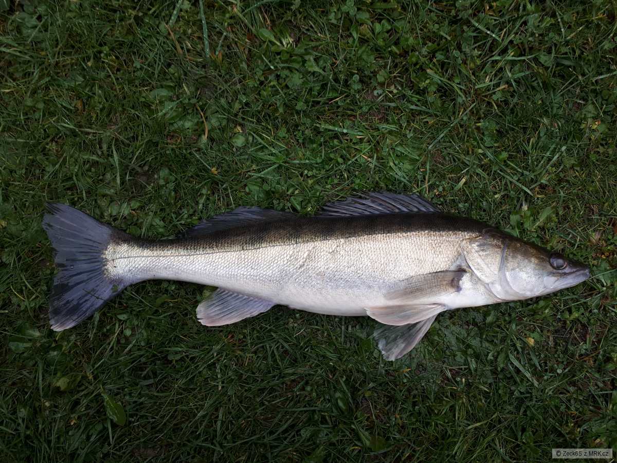 Listopad 2019 Vltava