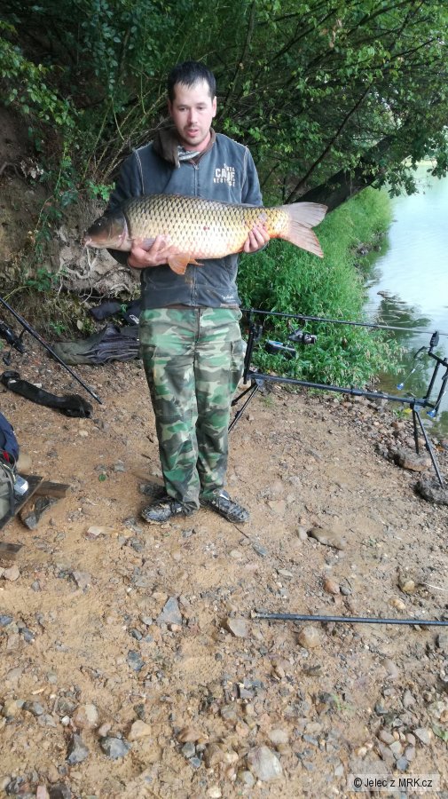 kapr 91cm