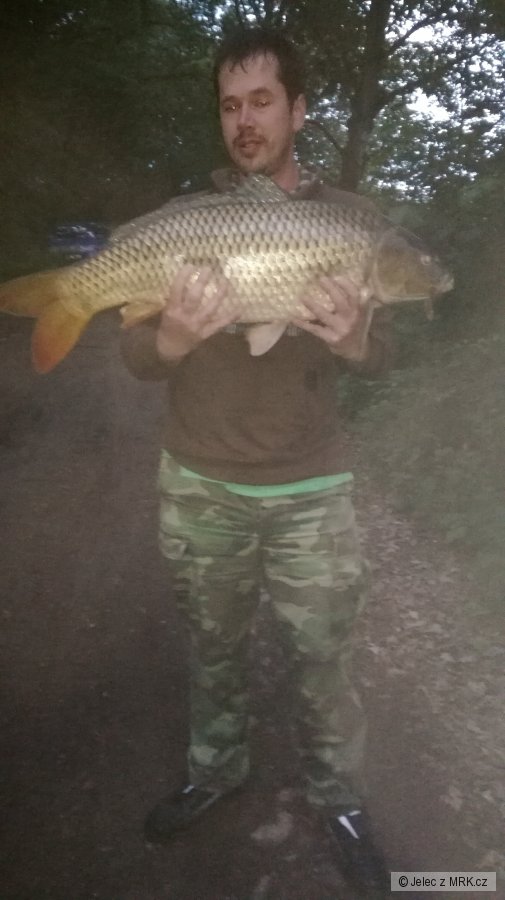 kapr84cm