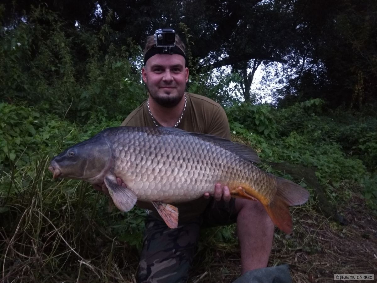 Řeka, 12,5 KG 80 CM