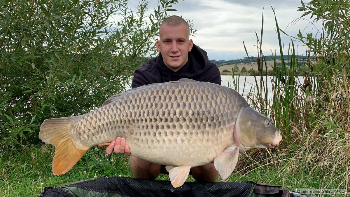 Kapr 18,16kg