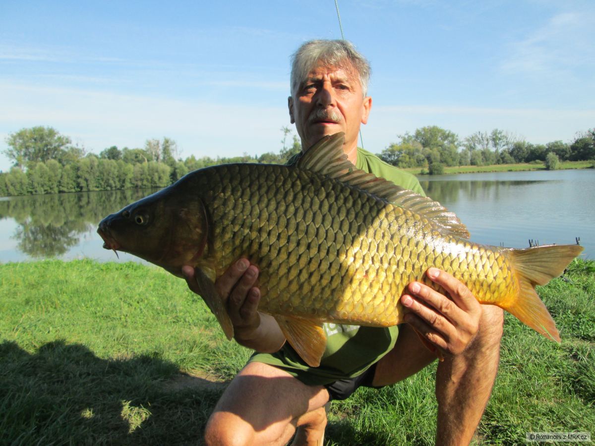 Kaproza podzim 2019 CH.P.