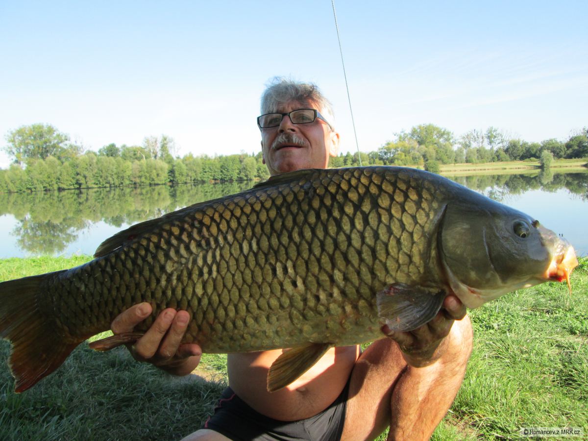 Kaproza podzim 2019 CH.P.