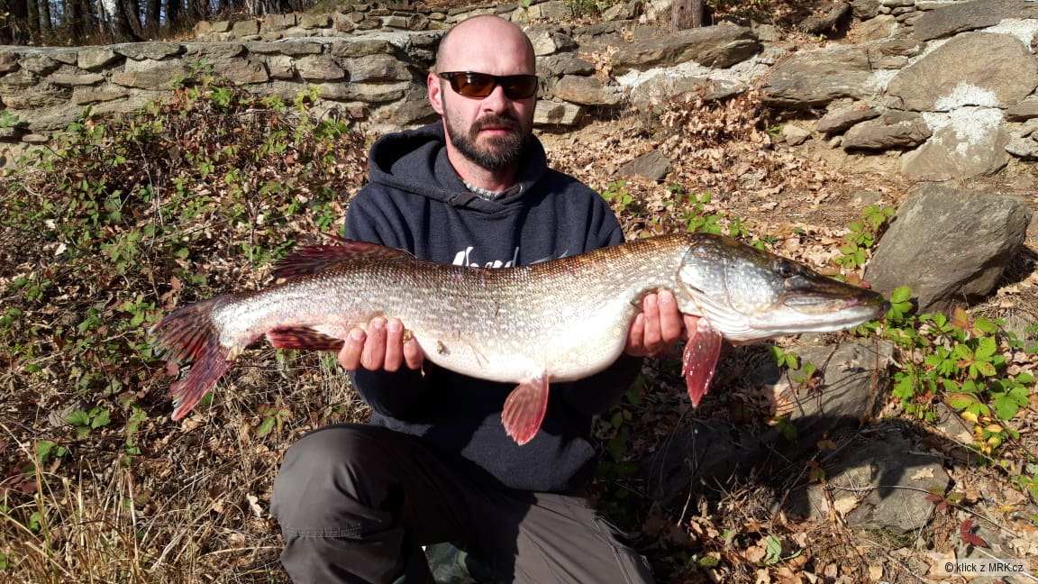 štička ze svazovky 94cm, 6kg