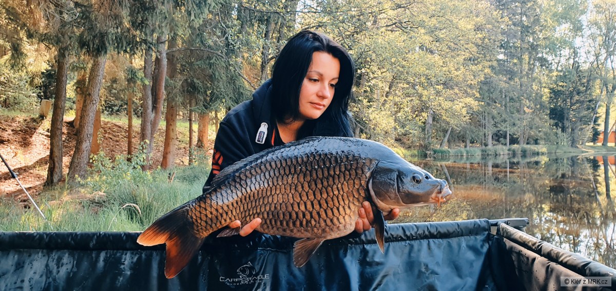 Narozeninový krasavec