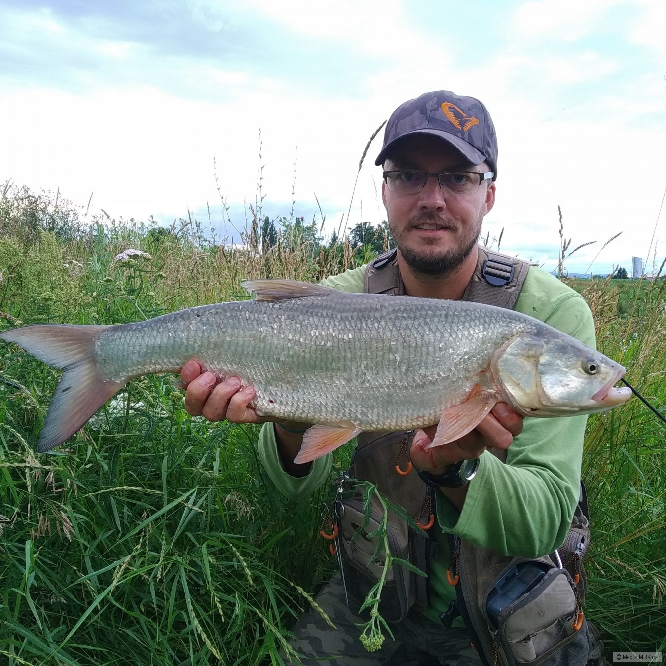 Bolen 64 cm