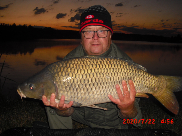 Kapr 85cm,,11kg