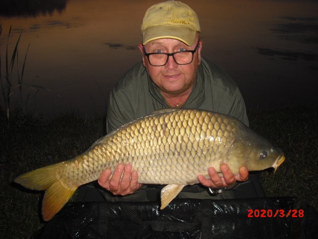 Kapr 72cm,,7kg