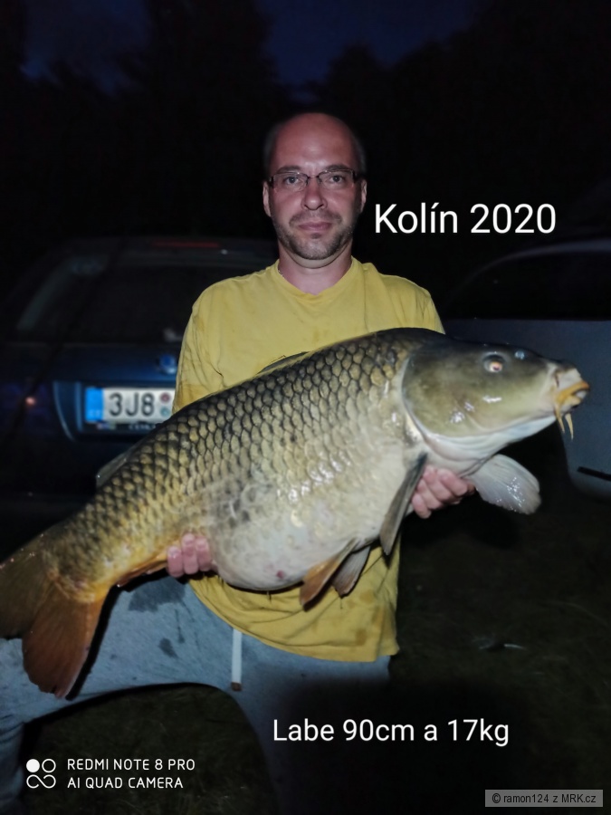 Labe 2020 90cm a 17kg
