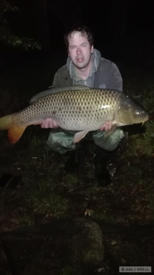 kapr 93 cm