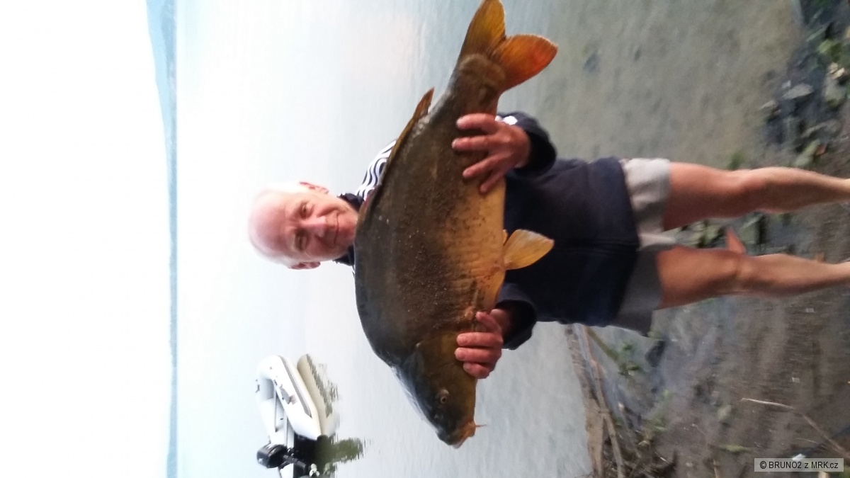 11kg primestka širava