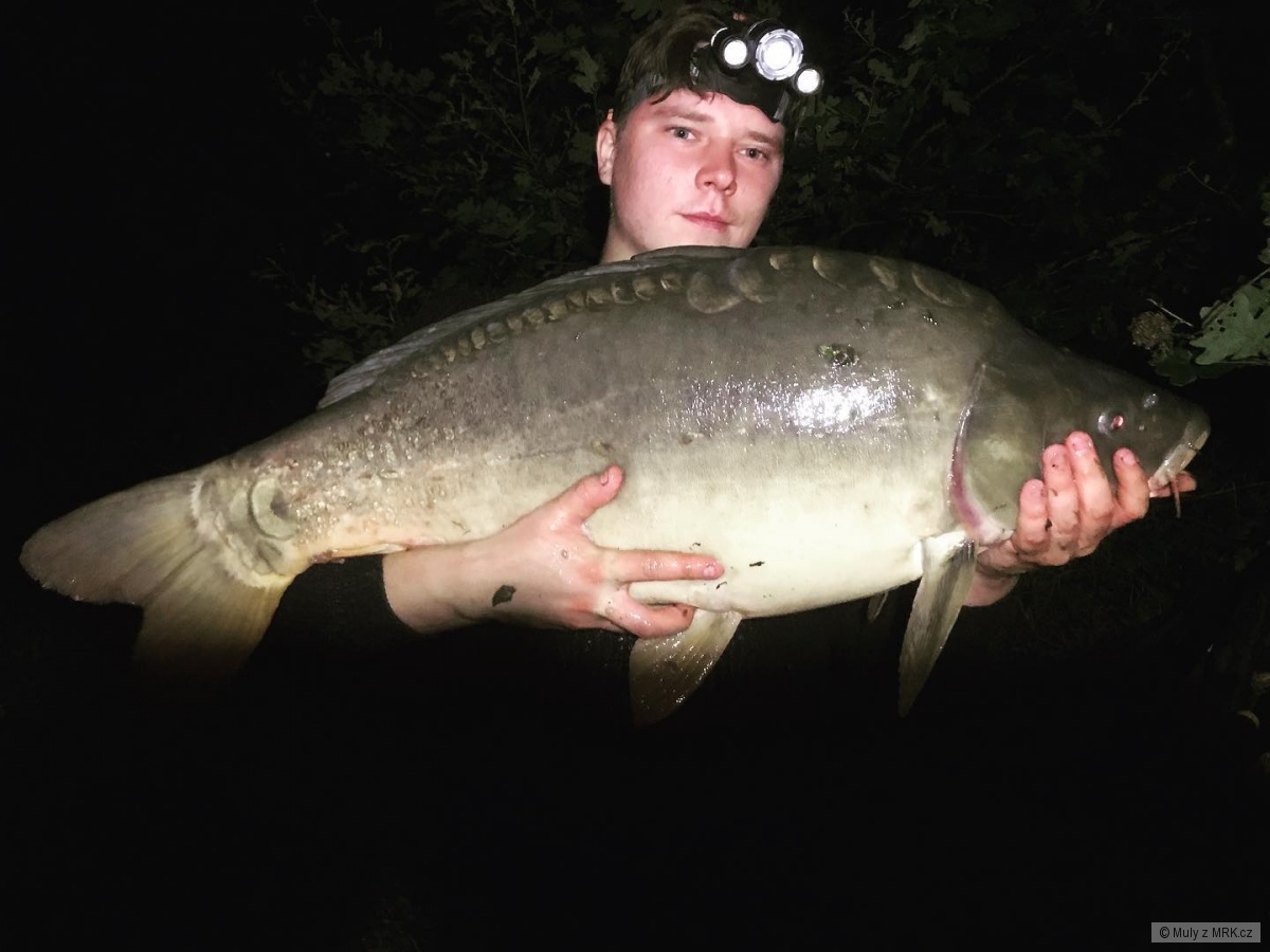 Kapr 90cm